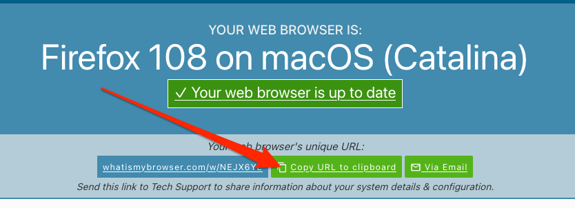 browserinfo.png